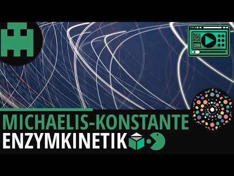 Michaelis-Konstante │Biologie Lernvideo [Learning Level Up]