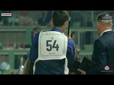 N 54 AZHAR AL ZOBAIR   World Arabian Horse Championship 2023   Doha   Senior Mares   Section A