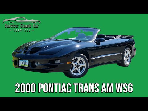 2000 Pontiac Firebird Trans Am (CC-1945665) for sale in Palmetto, Florida