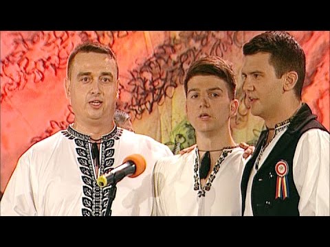 Ansamblul Artistic Jidvei România - Bate vântu-n curmătură (@Tezaur folcloric)