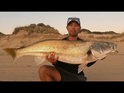 SOLO Beach Fishing: Heart Racing, MASSIVE FISH, CATCH and COOK
