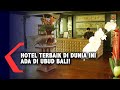 Hotel Capella Ubud Jadi Hotel Terbaik Di Dunia