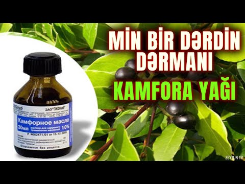 Kamfora Yağı - Min bir dərdin DƏRMANI (Ucuz və effektli)
