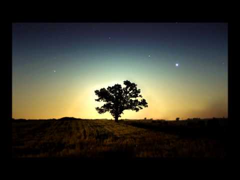 Dj Gard - Under the Stars (Dave Cold Remix)