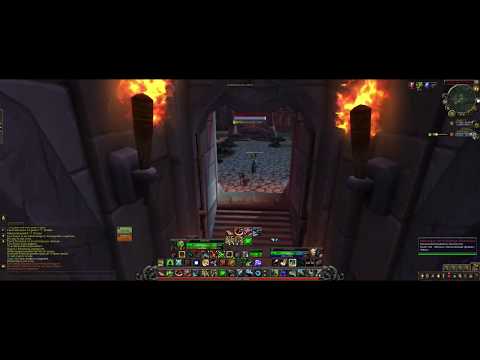 World of Warcraft 8.0 BFA-Pre-Patch introduction BM Hunter PvP