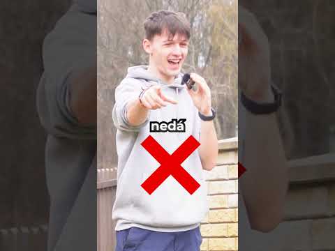 KOČKA řekla tohle...😒