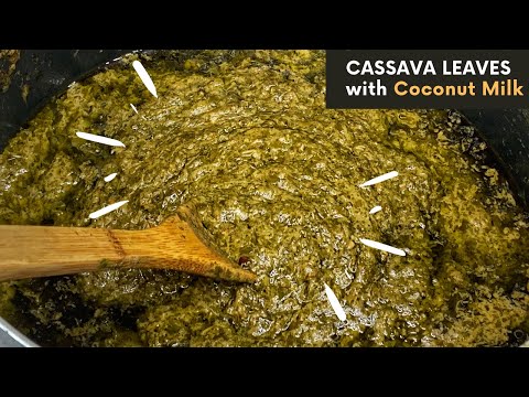 Cassava Leaves with Coconut Milk | Feuilles de Manioc au Lait de Coco | Hako Bantara 🇬🇳🇬🇳