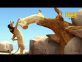 High Jump Leon The Lion 90 Compilation Crazy Animals