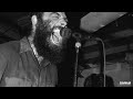 Lungfish - Fresh air cure