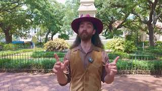 Savannah Choose-Your-Own-Adventure Intro