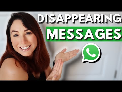 最新の WhatsApp ベータ版で新しいチャンネル管理者を追加できるようになりました