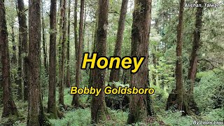 Download lagu Bobby Goldsboro   Honey(With Lyrics)阿里山沼平公園 mp3