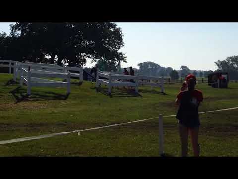 Fahrturnier Ostenfelde 21.8.2022