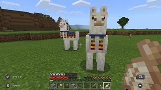 マインクラフト実況！～洞窟を探検だ２～【安井メロン】