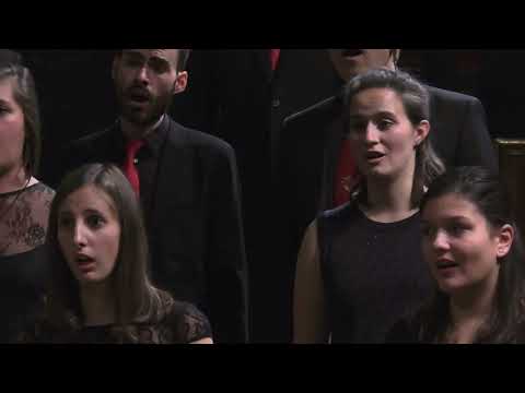 In Paradisum (Martin Stampfl) – cantanima