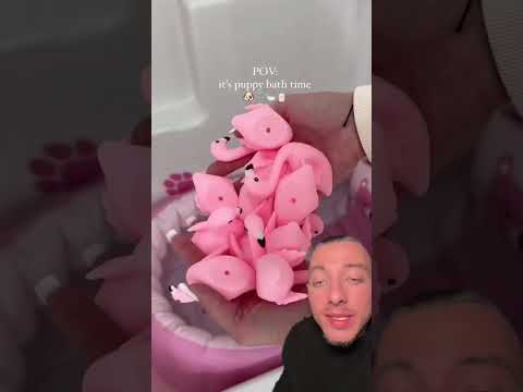 Cette femme crée une vraie routine de lavage pour son chien !