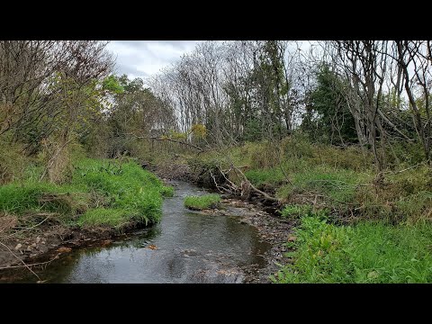 Poor Farm Brook.  Worcester MA