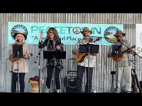 Games People Play - Joe South (ukulele cover)