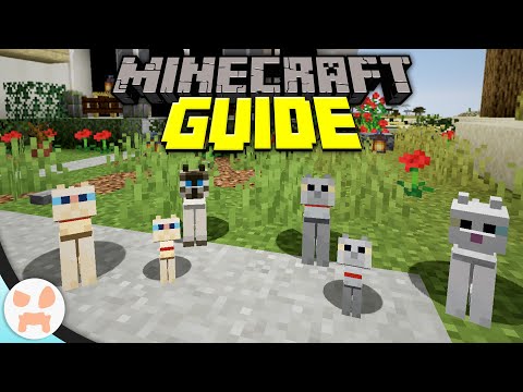 wattles - CAT TAMING & USES! | Minecraft Guide Episode 71 (Minecraft 1.15.2 Lets Play)