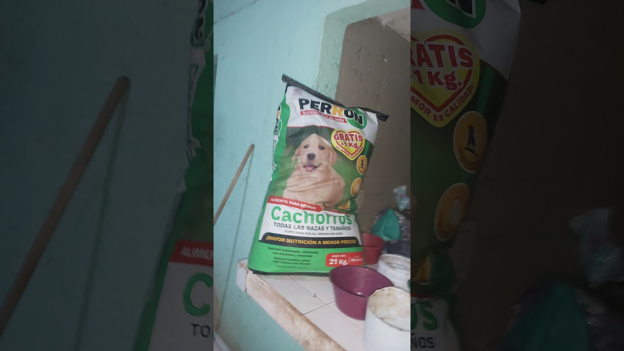 RESCATE ANIMAL / PERRON CACHORRO / PERRON ADULTO