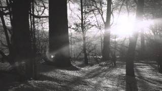 Woods of Ypres - Lightning &amp; Snow