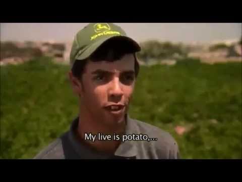 My Life is Potato     eh