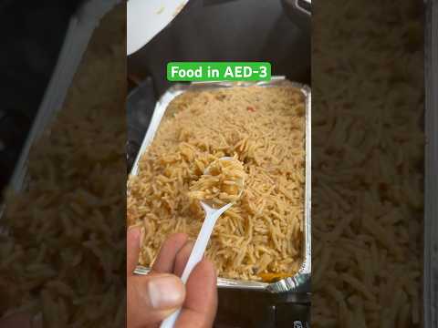Cheapest food in Dubai #trending #dubai #food #delicious #life #travel #foodclips #wow #rice #views