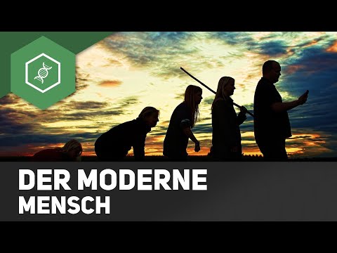 Evolution des Menschen - Moderne Menschen