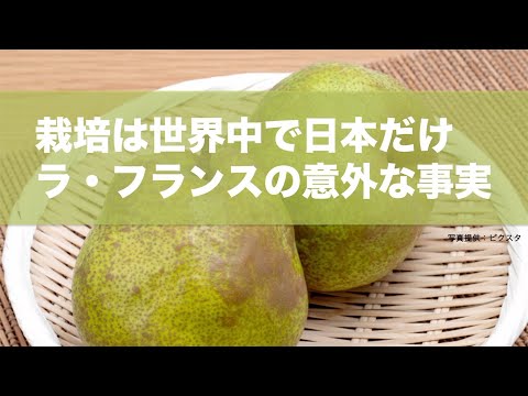 園芸 フランスの気候