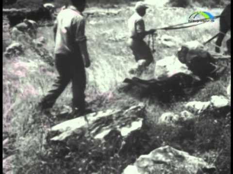 Die Geschichte des Holocaust Teil 3 (Vorschau)