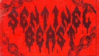 Music video thumbnail preview for Sentinel Beast - Full Treatment by Sentinel Beast