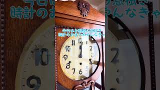 柱時計 #トイプードル18歳 #シニア犬との暮らし #犬と一人暮らし