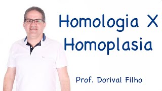 Evolução - Homologia x Homoplasia