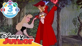 Sleeping Beauty | Once Upon A Dream | Disney Junior UK