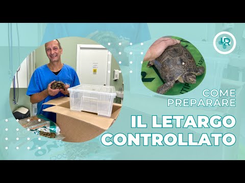 Tartarughe | Letargo Controllato