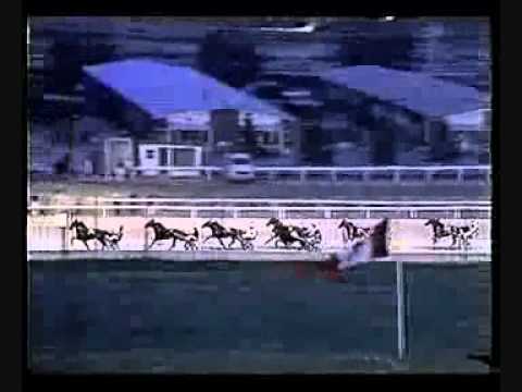 Canadian Trotting Classic 1988 -Armbro Goal