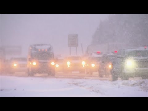 colorado fogyás visszavonulás zsírégető max