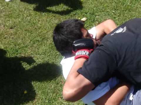 Westminster Fight Club