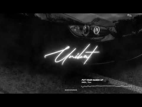 ONEIL, Titov - Put Your Hands Up