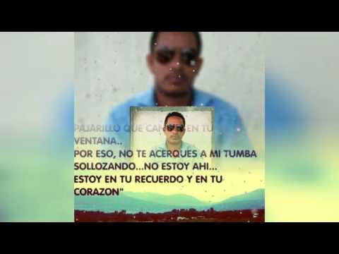 Vuela Alto Hender García