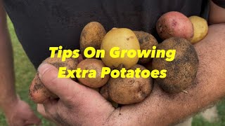 Tips On Growing Extra Potatoes 