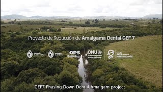 Uruguay leads regional advances in the elimination of dental amalgams