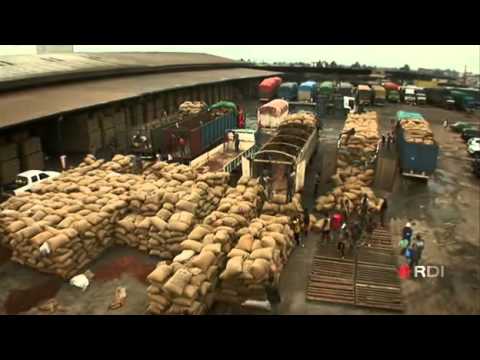 Les.Grands.Reportages.Le.Cote.Obscur.Du.Chocolat