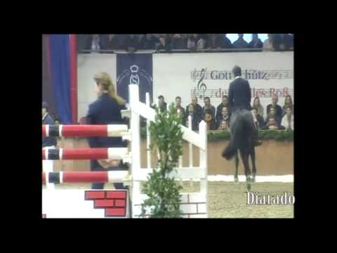 Schockemoehle Hengstkollektion 2014 Diarado deutsch