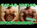 【増量日記#3】なるべく体脂肪と食欲を調節してます!大会前パンプアップのし過ぎはNG?など質問回答