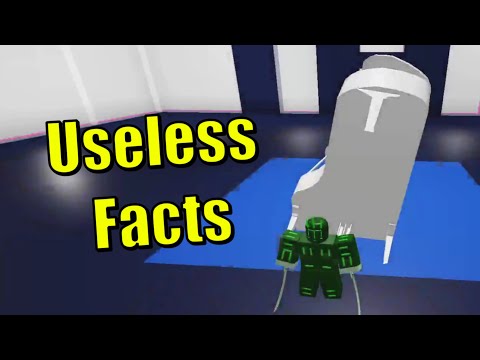 Useless Hours Facts