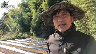 #4 고추재배 / 고추 정식전에 이거 하면 뿌리 활착 빨라져요
