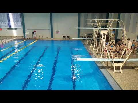 2017 UNCW Men's 1m - Dive 7 303C
