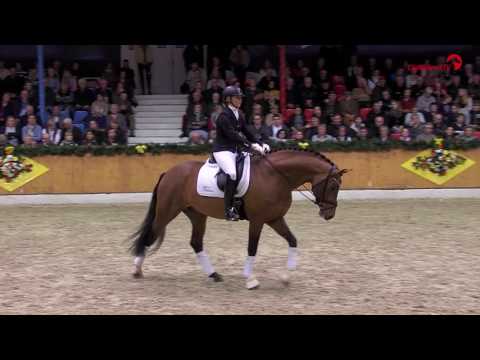 First Ampere Hengstschau Vechta 2017