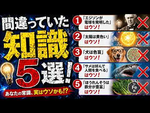 知ると驚く間違っていた知識５選！